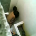 Abg ngentot di WC.3gp